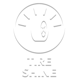 Tire Shine